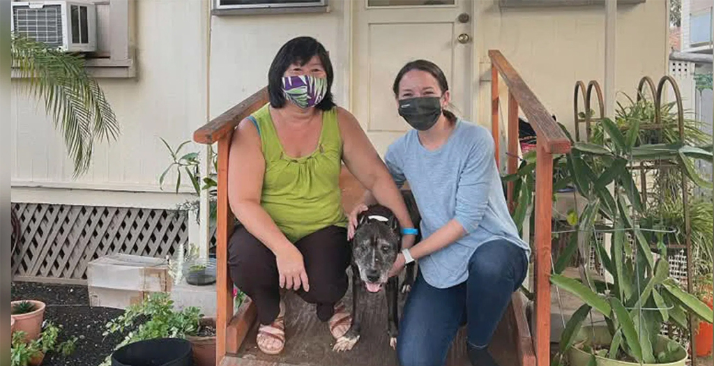 Dog Returns to her Family After a 12-Year Journey