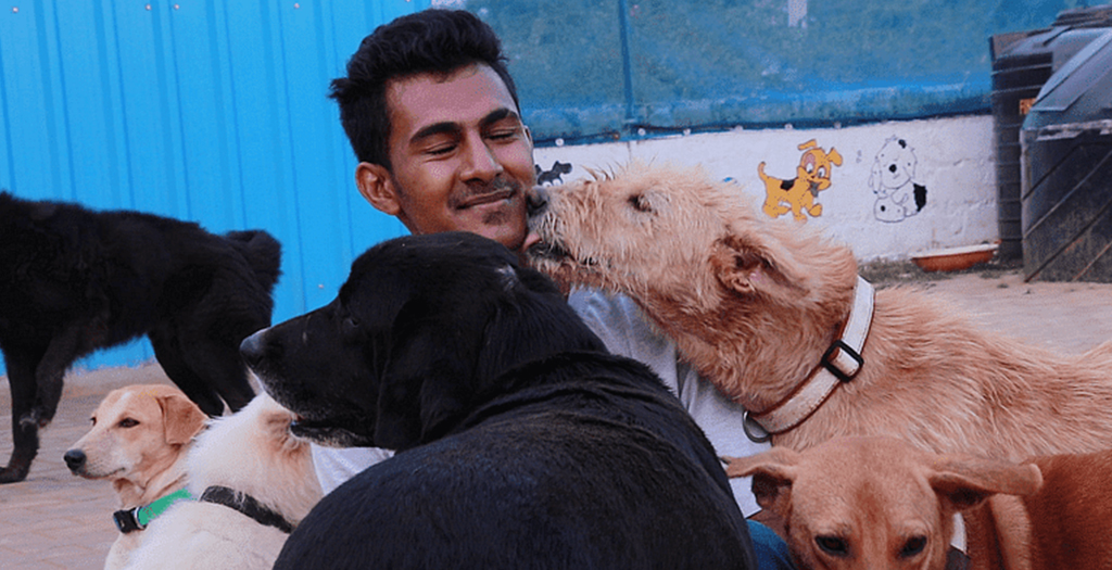 Meet the Dog-Lover from Bengaluru, Who has Rescued Over 2,000 Injured Dogs