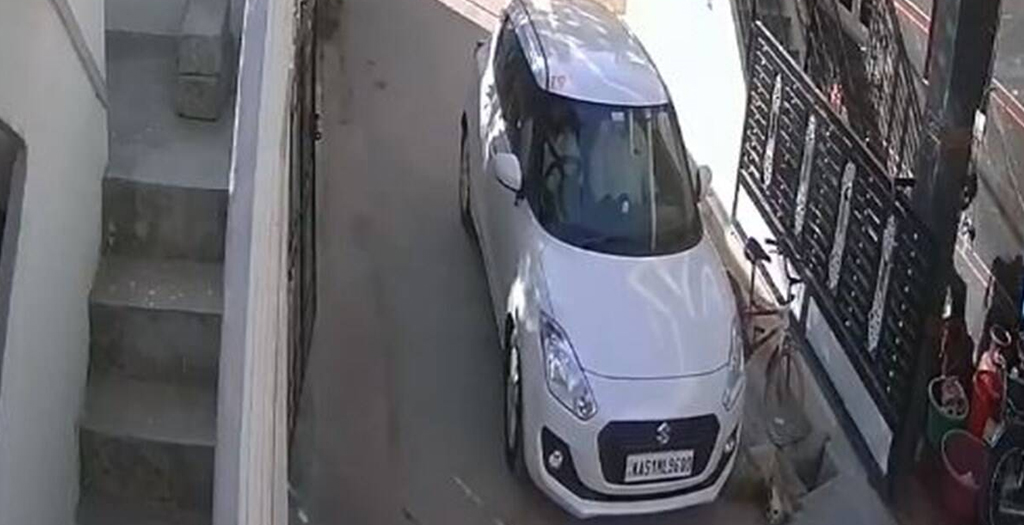 Retired Police Officer Runs Over Stray Dog, Horrible Incident Recorded on CCTV