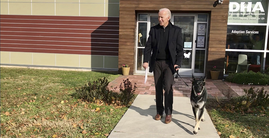 The Return of 'First Pets' Dogs are Once Again in the White House