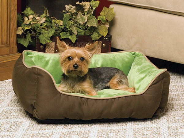 Tips That'll Help You Keep Your Couch Pup Free