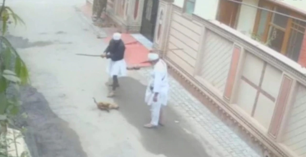 Two Arrested for Killing Stray Dog, Incident Caught on Camera