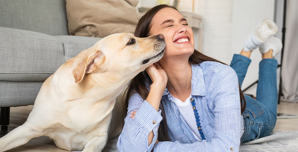 Why Your Dog Has Bad Breath + What To Do About It