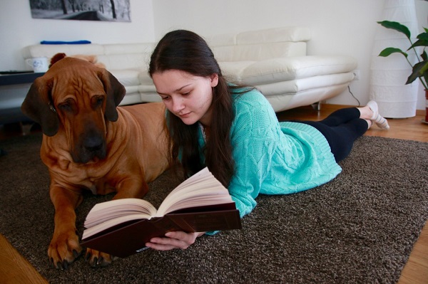 Dog Price List in India 2022 - Budget Friendly Dog Breed