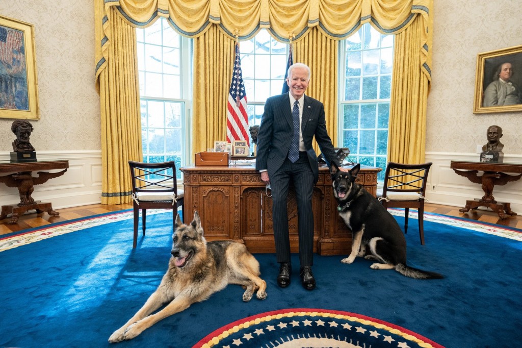Biden Dog Major in Doghouse After Injuring Security Agent
