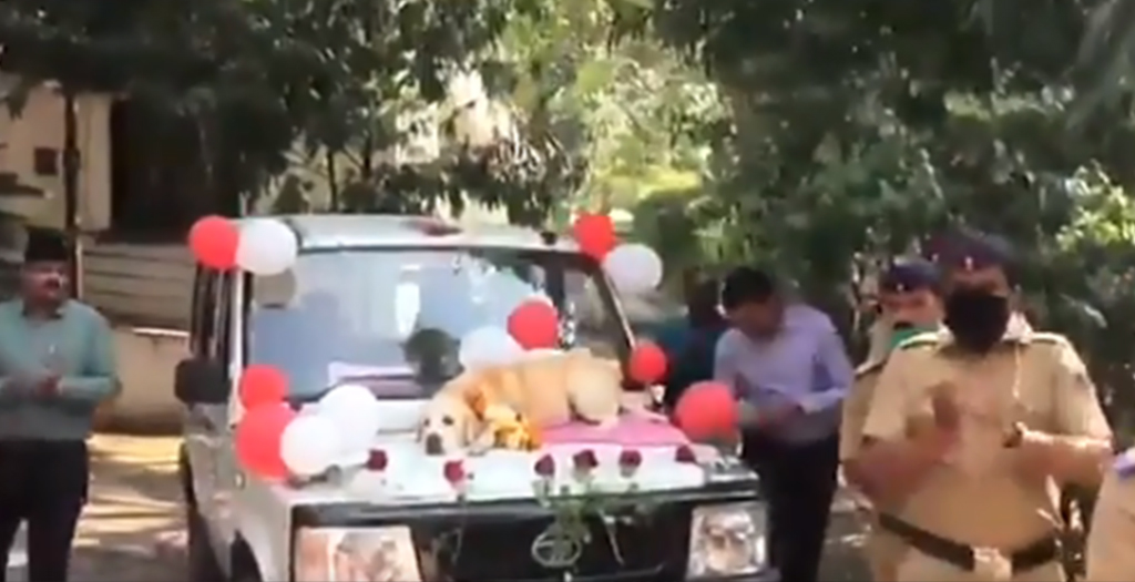 Sniffer Dog ‘Spike’ Part Of Nashik Bomb Squad Given Heartwarming Farewell