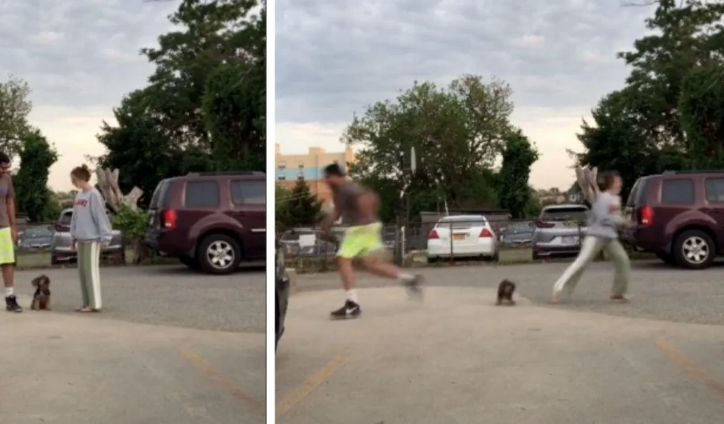 Couple shares hilarious viral video challenge to find out which person your dog loves best