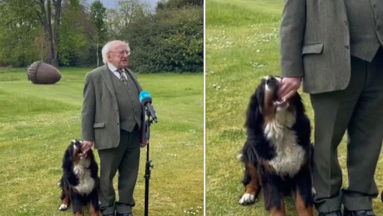 Irish President’s dog interrupts official address