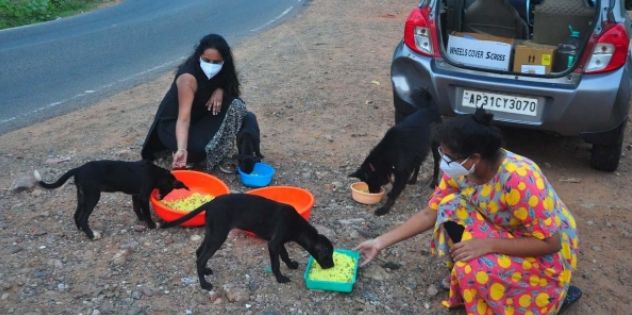 Now, feeding stray dogs is full-time responsibility for this woman in Visakhapatnam
