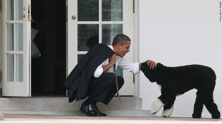 Obamas announce family dog Bo has died