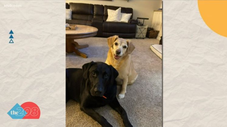 Boise woman baffles dogs, goes viral on TikTok, after telling them her name