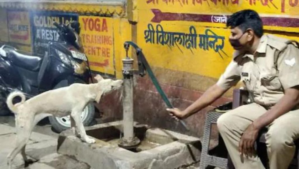 Varanasi Cop Hailed as 'Good Man' for Feeding Water to Stray Dog from Handpump in Viral Photo
