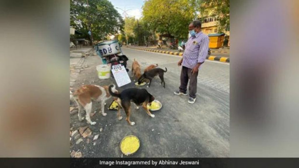 This Man From Nagpur Is Feeding 150 Dogs Daily For Last 11 Years