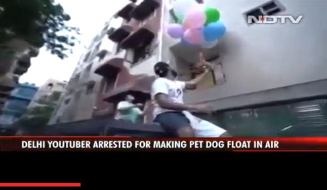 Delhi YouTuber Arrested For Video Of 'Flying Dog'