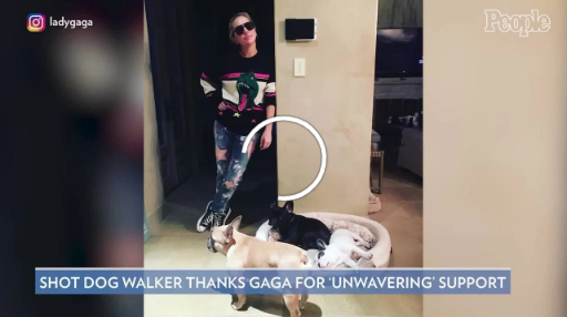 Lady Gaga's Dog Walker 'Not Yet in the Proper Headspace to Care for Dogs' After Shooting