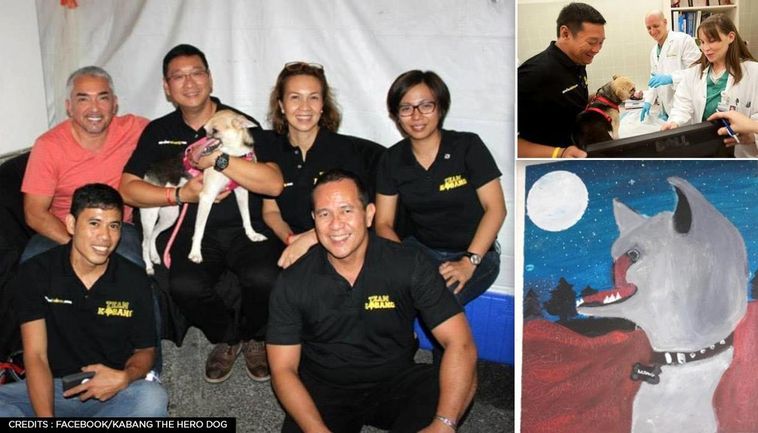 Philippines: Hero Dog 'Kabang' That Saved Two Girls From Bike Accident, Dies Aged 13