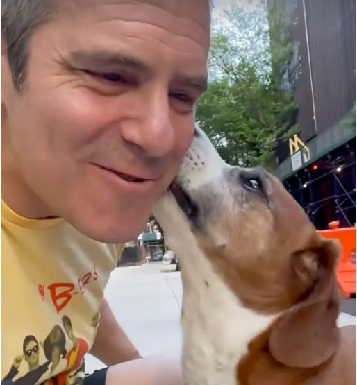 Andy Cohen Reunites with 'Beautiful' Dog Wacha 1 Year After Placing Him in Another Home