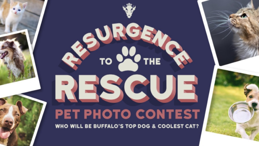 Your cat or dog could be the face of Resurgence’s new summer beer