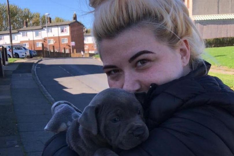 Fight of dog owner to keep her sick pet after he ‘saved her life’