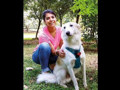 Demand of dog-trainers turned high for ‘pandemic’ pups