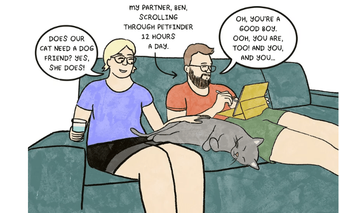 COMIC Adopted Pandemic Dogs Got Us Through. Now They Need Our Help