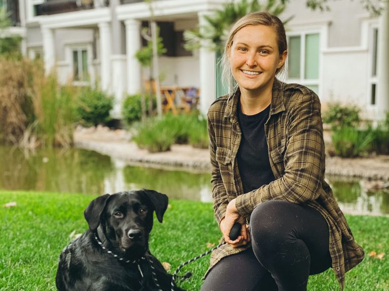 Questionnaire with a local dog walker