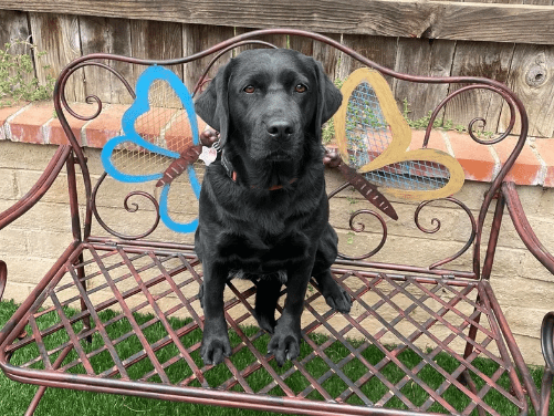 Lila. U.S. Capitol Police