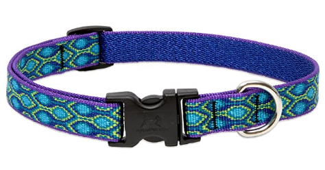 Lupine 34-inch Rain Song Adjustable Dog Collar