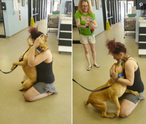Woman finds her lost dog in Pennsylvania Shelter after 2 years