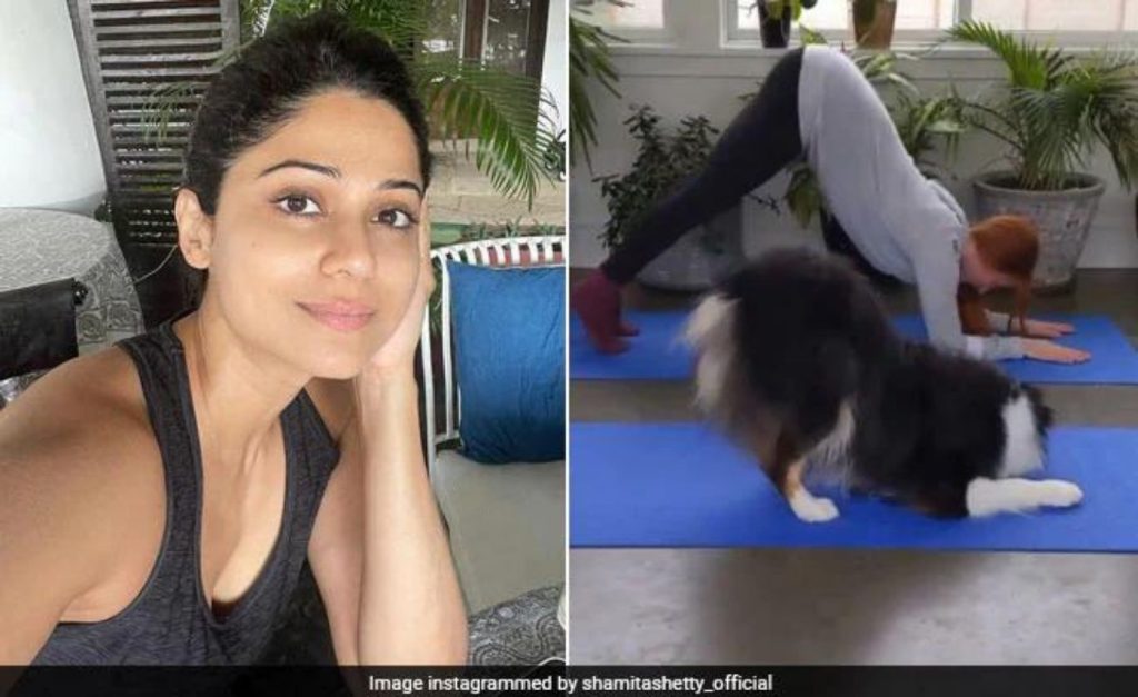 Downward Dog With An Actual Dog? BRB, Too Busy ROFL AT Shamita Shetty's Post