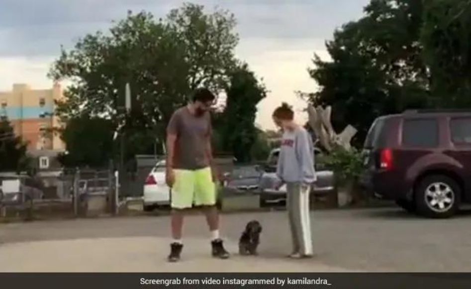 Viral Video: Dog's Reaction To "Run In Opposite Directions" Challenge Has Twitter In Splits