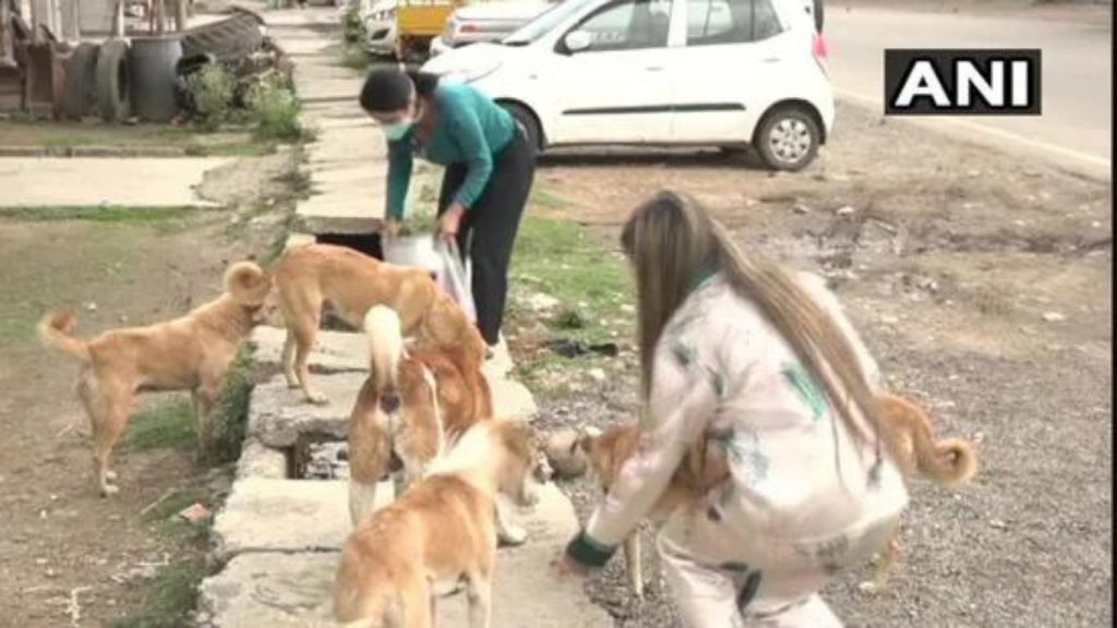 Girls from Jammu and Kashmir’s Udhampur feed stray dogs amid lockdown