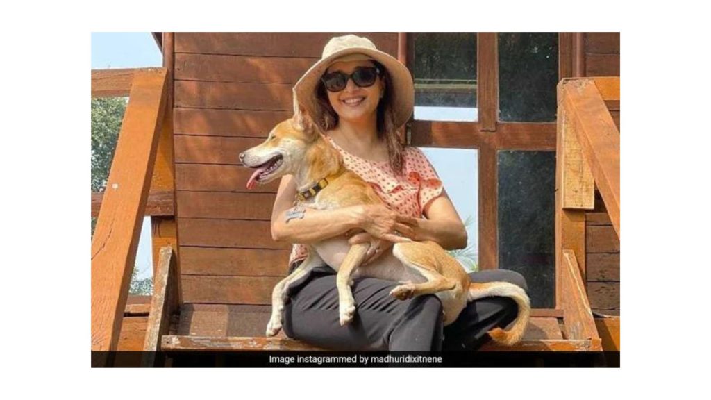 This Is How Madhuri Dixit's Pet Pooch Greets Her When She Returns Home. Dog Moms Will Relate