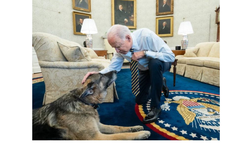 President Biden's Dog Champ Dies