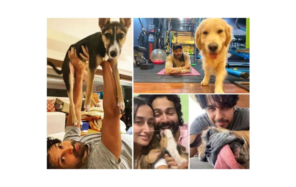 Fathers Day 2021: Meet the dog daddies of Bollywood