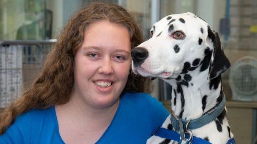 Nottingham woman trains pet as first Dalmatian support dog
