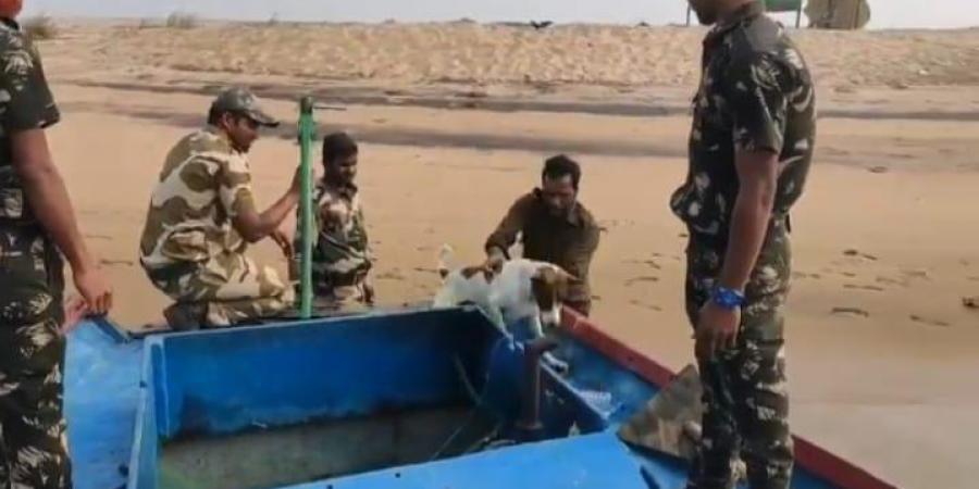 Dog stranded on Odisha river island rescued