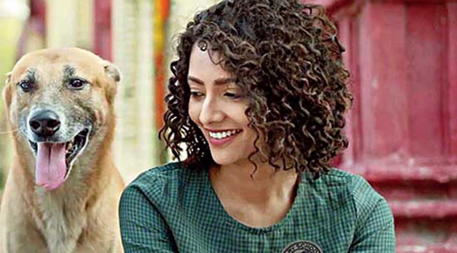 I am a dog lover and I live with them: Susmita Chatterjee