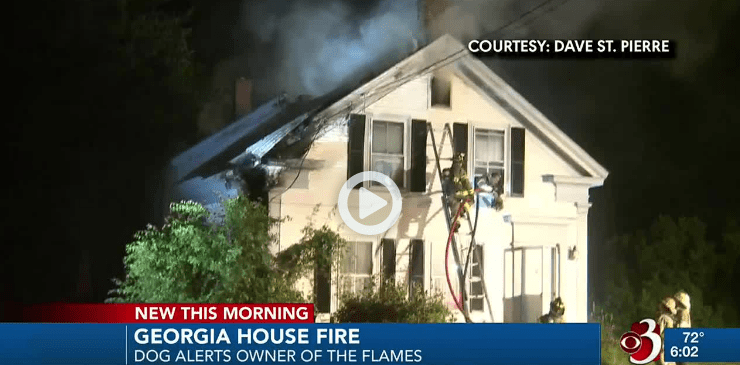 dog alert owner for fire