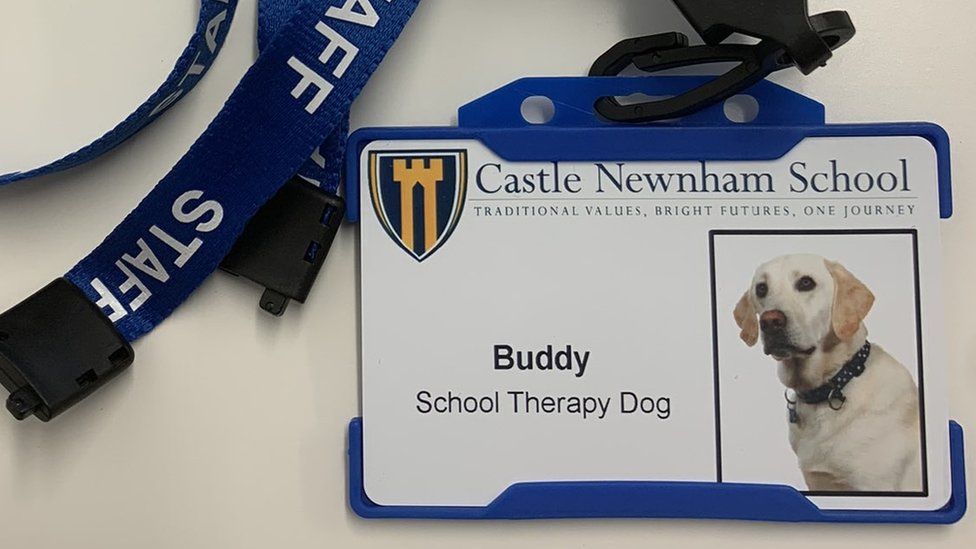 Dog In Bedford Helps Children In School Deal With Anxiety