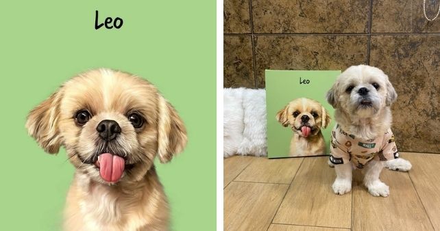 5 reasons why you should have digital pet portraits of your beloved pets at home