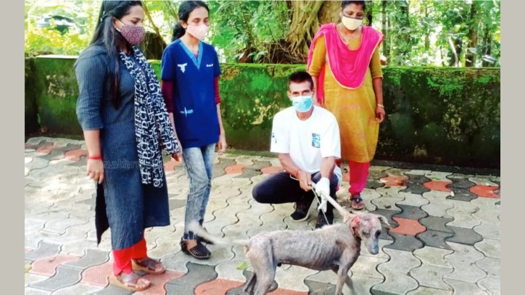 Dog saved from death by social workers in Kottayam, India