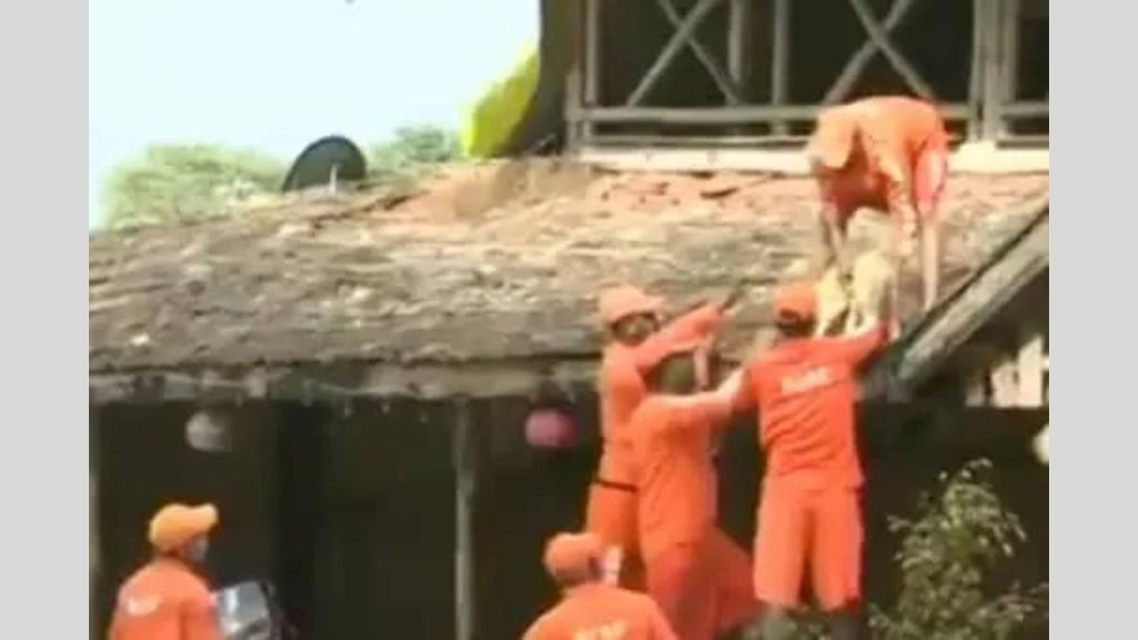 Dog rescued by NDRF team in Kolhapur, Maharashtra