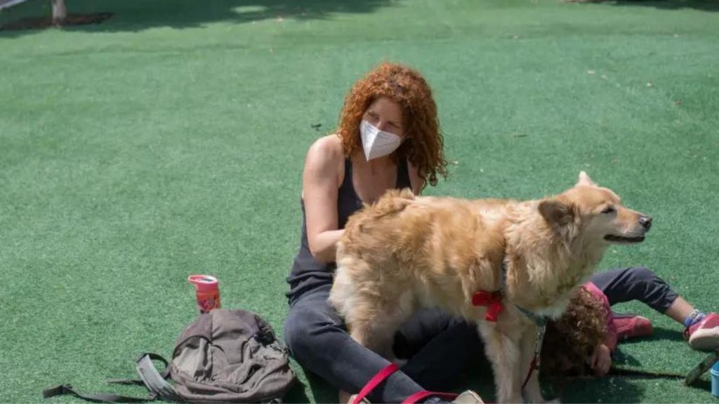 Registering Pet Dog's DNA Becomes Mandatory in Tel Aviv, Israel