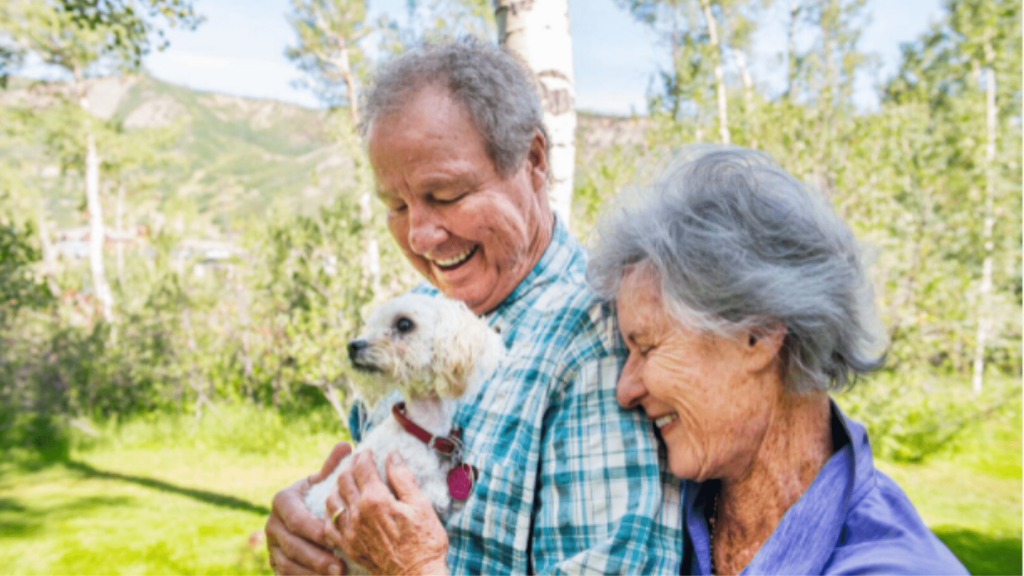 Dog lost during a hike in Colorado, returns home