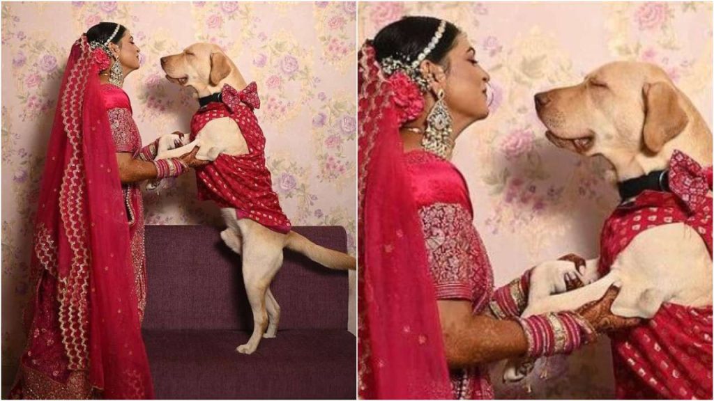 Bride's picture with her dog goes viral