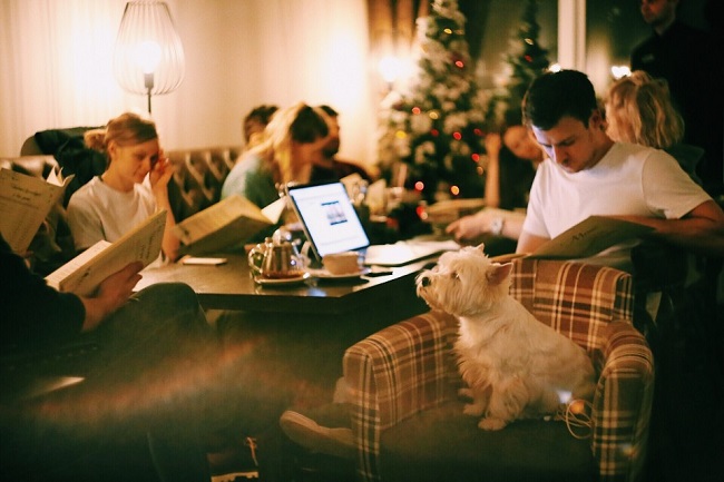 Dog-friendly Restaurants in Delhi NCR