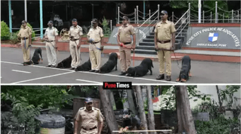 Get to know about Pune’s K9 dog squad