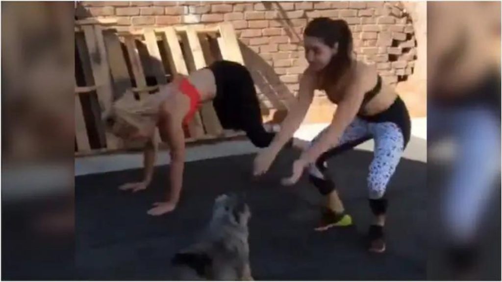 New viral: Cute video of two girls working out with pet dog