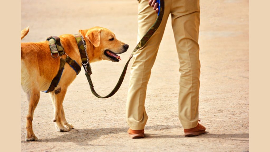 Police constable rescues a stray dog in Vishakhapatnam, India